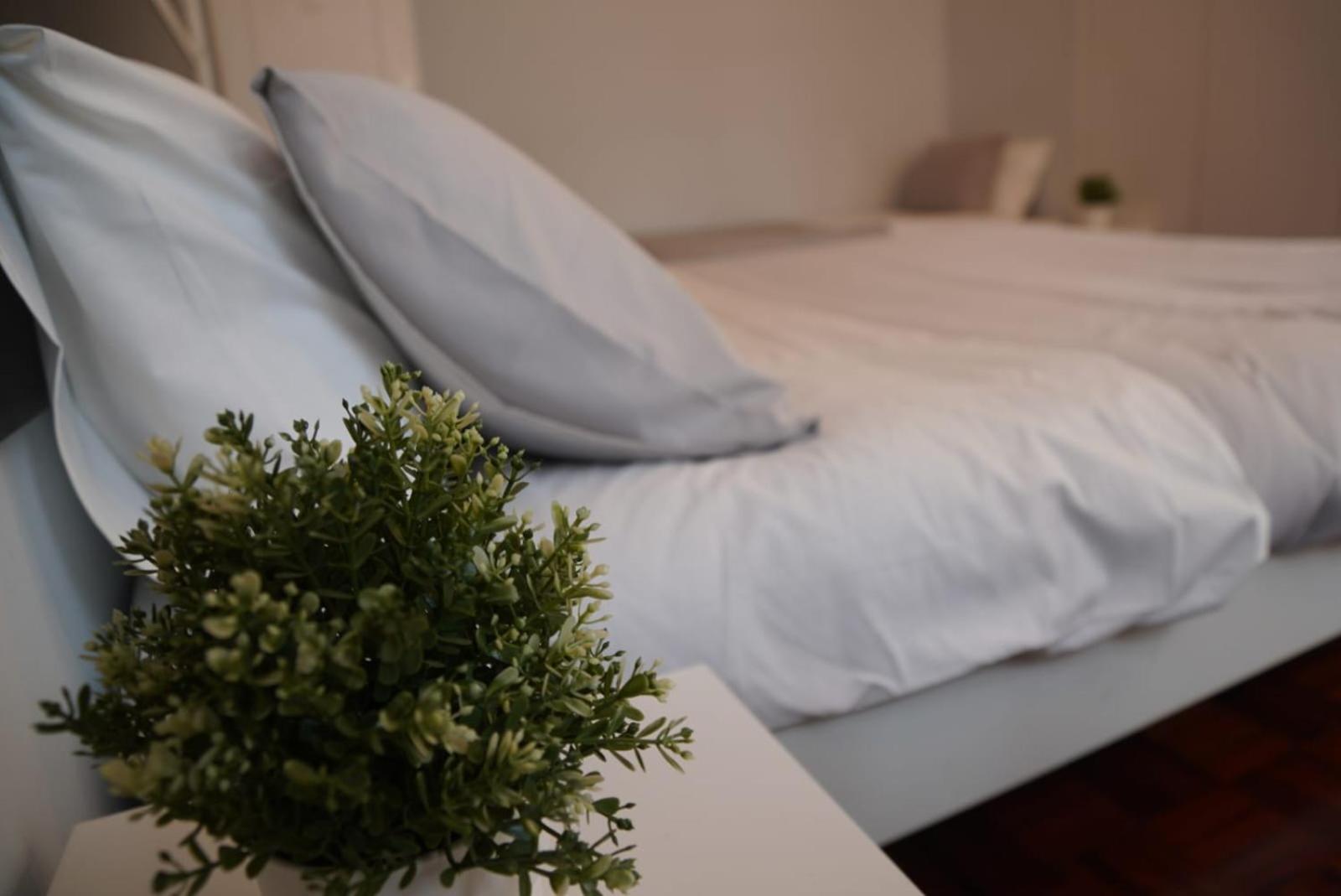 Bisengototo Homestay Lisboa エクステリア 写真